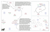 col48 gulf panama_thumb.gif